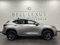 2025 Lexus NX 450h+ Luxury