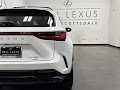 2024 Lexus NX 350 Luxury