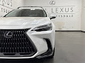 2024 Lexus NX 350 Luxury