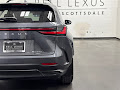 2024 Lexus NX 350 Luxury
