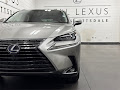 2020 Lexus NX 300h