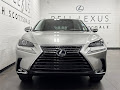 2020 Lexus NX 300h