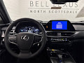 2025 Lexus UX 300h Premium