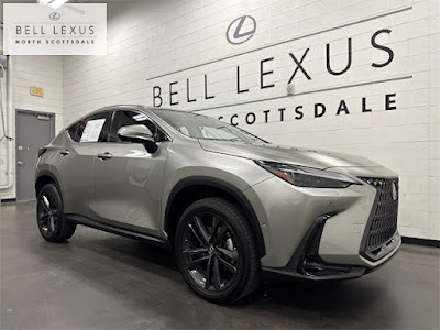 2025 Lexus NX
