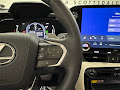 2025 Lexus NX 450h+ Luxury