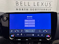 2025 Lexus NX 450h+ Luxury