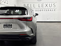 2025 Lexus NX 450h+ Luxury