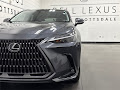 2024 Lexus NX 250 Premium