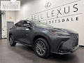 2025 Lexus NX 250 Premium