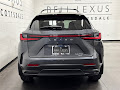 2025 Lexus NX 250 Premium
