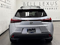 2025 Lexus UX 300h