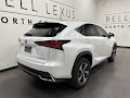 2021 Lexus NX 300h