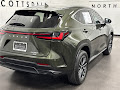 2025 Lexus NX 350h Premium