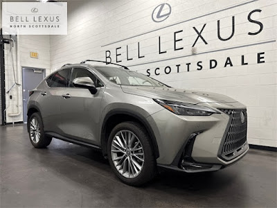 2025 Lexus NX