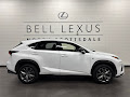 2020 Lexus NX 300 F Sport