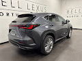 2025 Lexus NX 350 Luxury