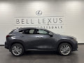 2025 Lexus NX 350 Luxury