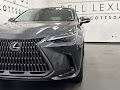 2025 Lexus NX 350 Luxury
