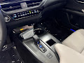 2025 Lexus UX 300h