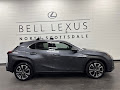 2025 Lexus UX 300h