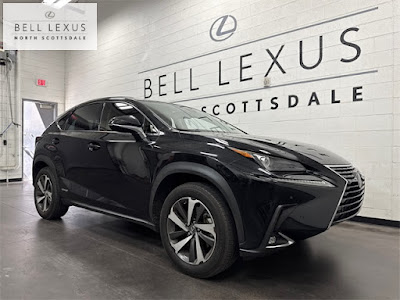 2020 Lexus NX