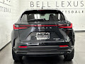 2024 Lexus NX 350h Luxury