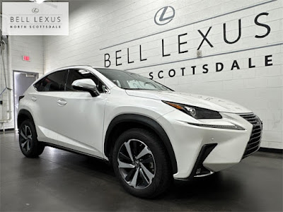 2021 Lexus NX