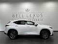 2026 Lexus NX 350 Base