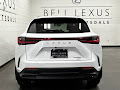 2026 Lexus NX 350 Base