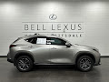 2025 Lexus NX 250 Base