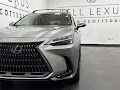 2025 Lexus NX 250 Base