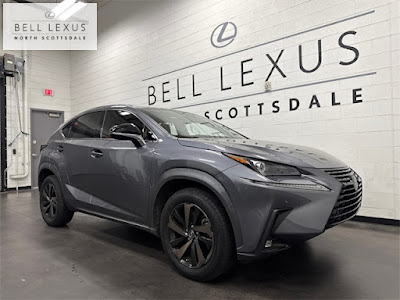2020 Lexus NX