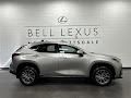 2025 Lexus NX 350h Premium