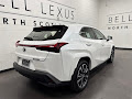 2025 Lexus UX 300h Premium