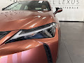 2025 Lexus UX 300h Premium