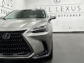 2023 Lexus NX 350 Base