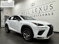 2021 Lexus NX 300 F Sport