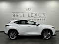 2026 Lexus NX 350h Luxury