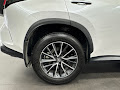 2025 Lexus NX 350h Luxury