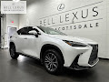 2025 Lexus NX 350h Luxury