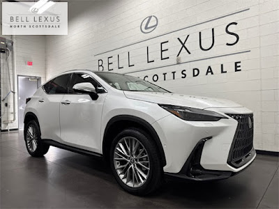 2025 Lexus NX