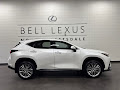 2025 Lexus NX 350h Luxury