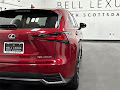 2021 Lexus NX 300h