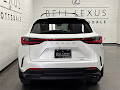 2025 Lexus NX 250 Premium