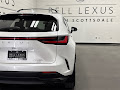 2025 Lexus NX 250 Premium