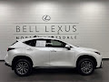 2025 Lexus NX 250 Premium