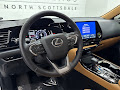 2025 Lexus NX 250 Premium