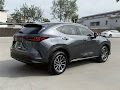 2026 Lexus NX 450h+ Luxury