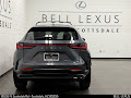 2025 Lexus NX 250 Base
