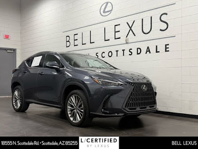 2022 Lexus NX